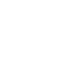 Artiman Ventures