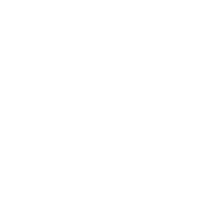 Aviva Ventures