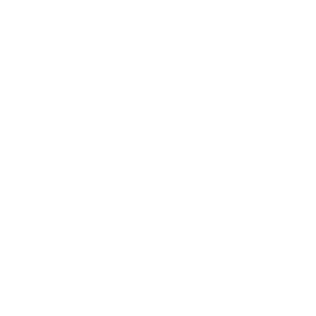 N-Tech.Lab Ltd